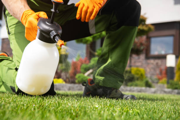 Best Pest Control Cost  in Lauderdale, MN