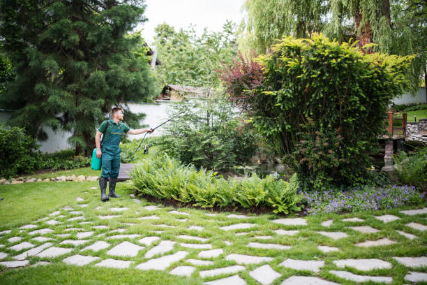 Best Pest Removal Services  in Lauderdale, MN