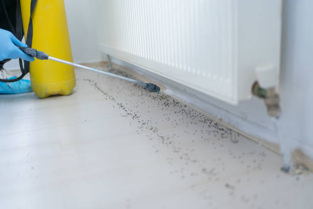 Best Emergency Pest Control  in Lauderdale, MN